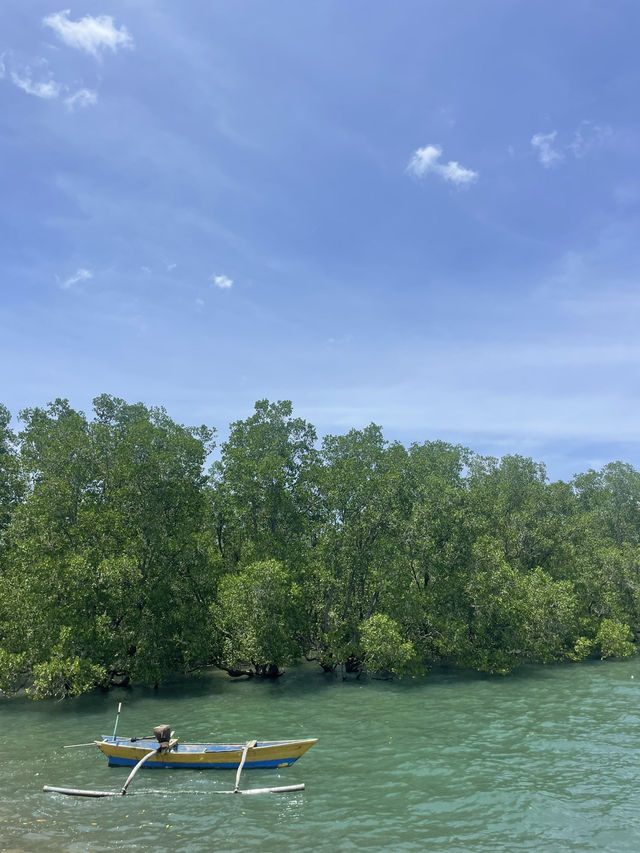 A Stroll by the Shore in Waingapu: Simple Moments, Big Smiles 🌊🚶‍♂️