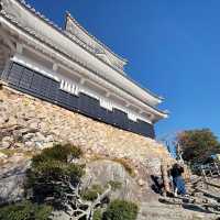 "岐阜城"織田信長も愛した岐阜の絶景をご覧あれ