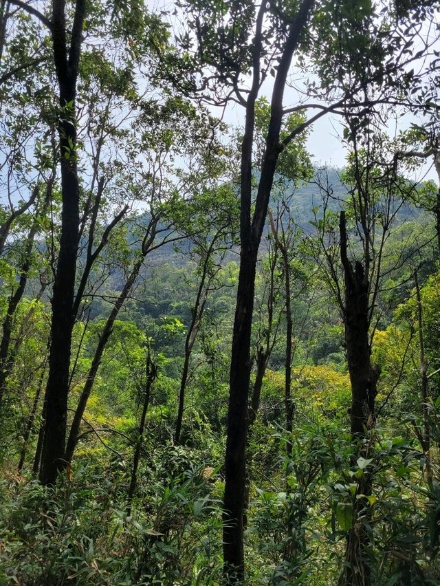 Devil's peak⛰️Highly recommended for Hiking