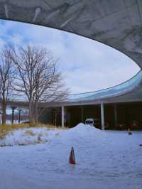 冬日札幌 🪨 莫埃來沼公園｜雪中的藝術與靜謐