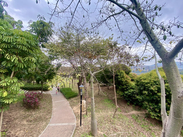 深圳寶安區親子好去處✨立新湖公園🌴❤️