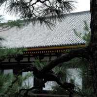 曹溪寺🌳清幽寧靜 