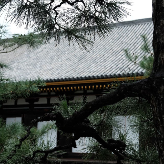 曹溪寺🌳清幽寧靜 