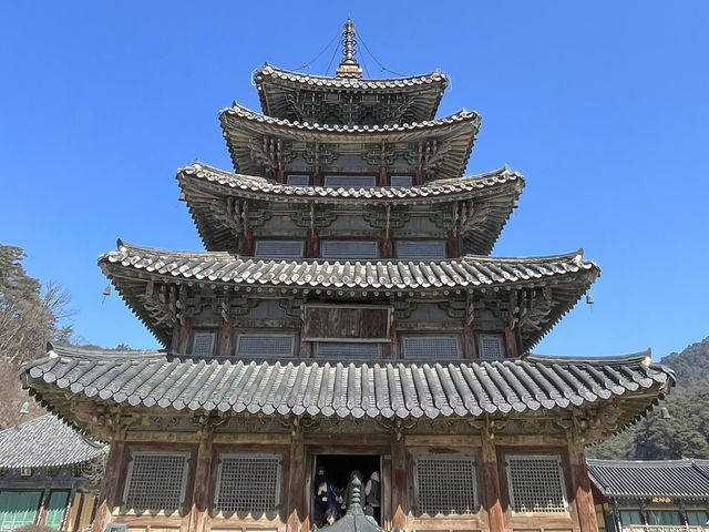 충북 보은에서 만난 유네스코 유산 법주사