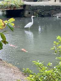 香川｜相傳為狩獵砍光栗林的栗林公園 從顯貴豪邸到藩主秘密花園