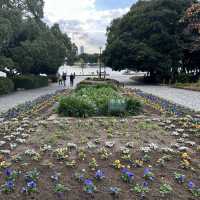 8 Days in Fukuoka
