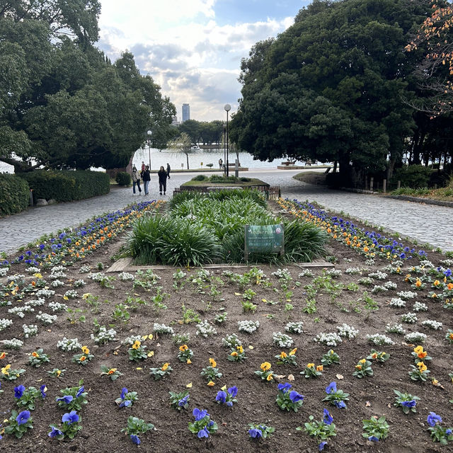 8 Days in Fukuoka