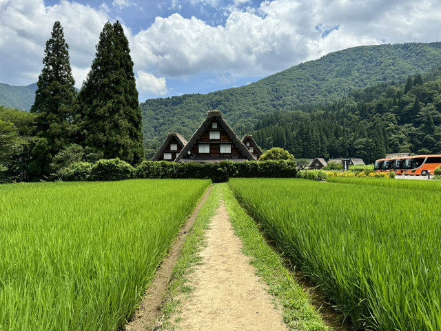 😍白川鄉世界文化遺產必到打卡之地 🛖🙏🏻🏠《合掌村住宅》《三小屋》