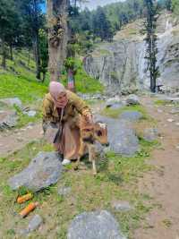 Beautiful Village in Kumrat Valley, Pakistan😍