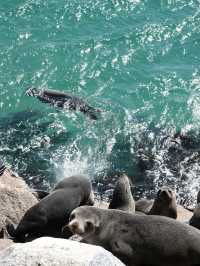 A Coastal Escape to Narooma