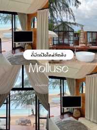 ไปนอนบ้านพักติดทะเล✨🏝️ แบบส่วนตัวที่สัตหีบ
