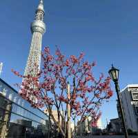 Tokyo Skytree: Japan’s Towering Symbol of Innovation and Elegance