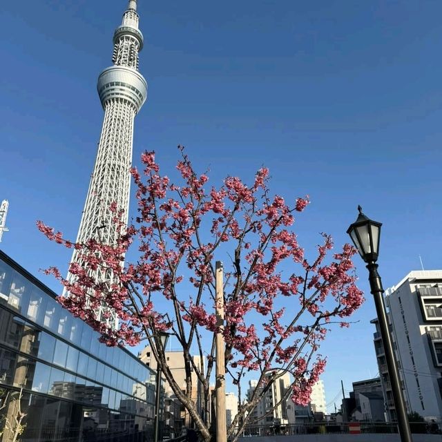 Tokyo Skytree: Japan’s Towering Symbol of Innovation and Elegance