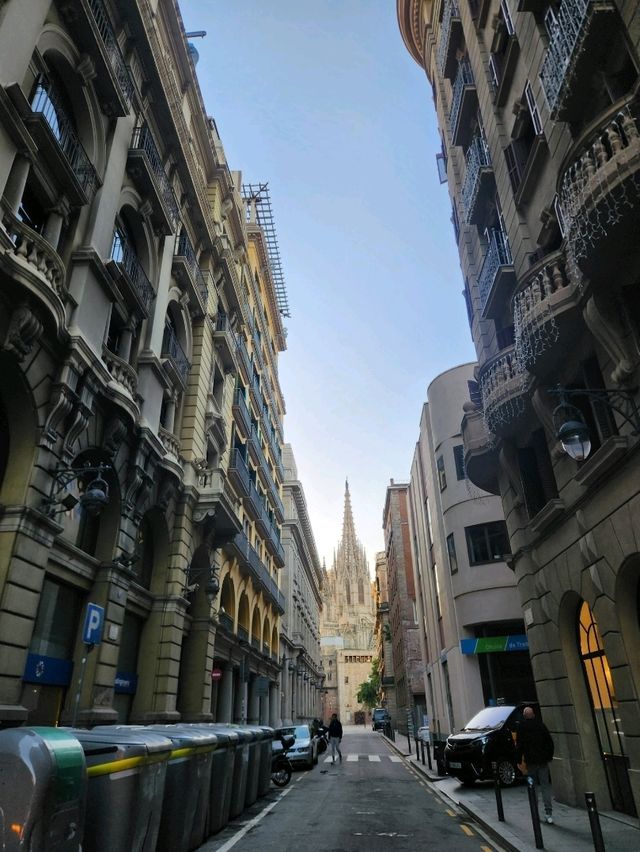🇪🇦화려함에 눈을 뗄 수 없었던, "바르셀로나 대성당"🇪🇦