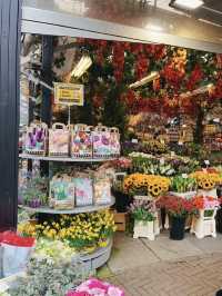 A Colorful Stroll Through Bloemenmarkt, Amsterdam
