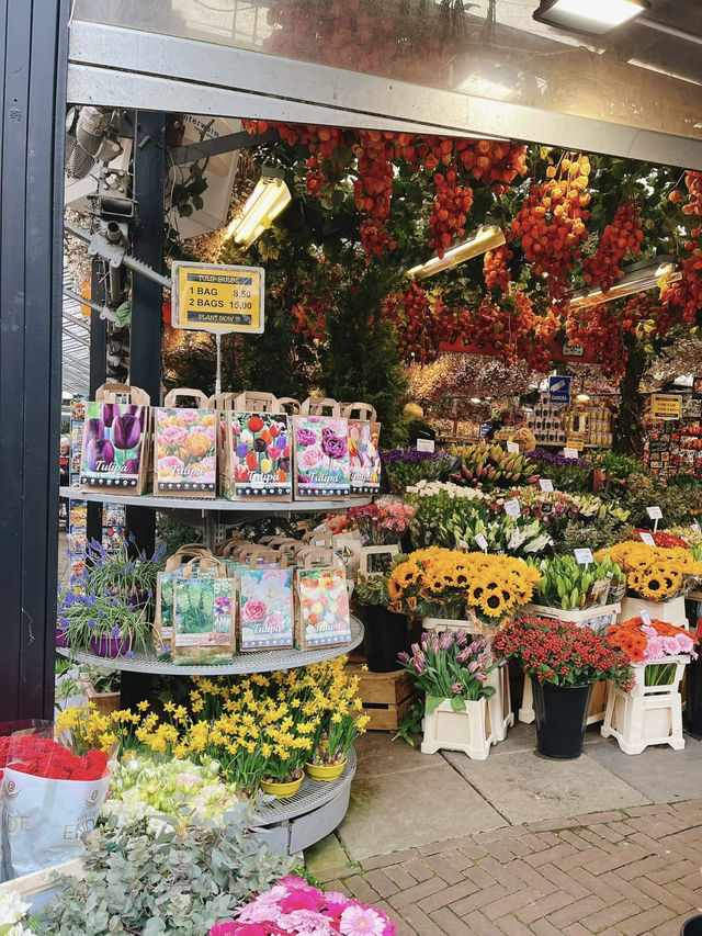 A Colorful Stroll Through Bloemenmarkt, Amsterdam