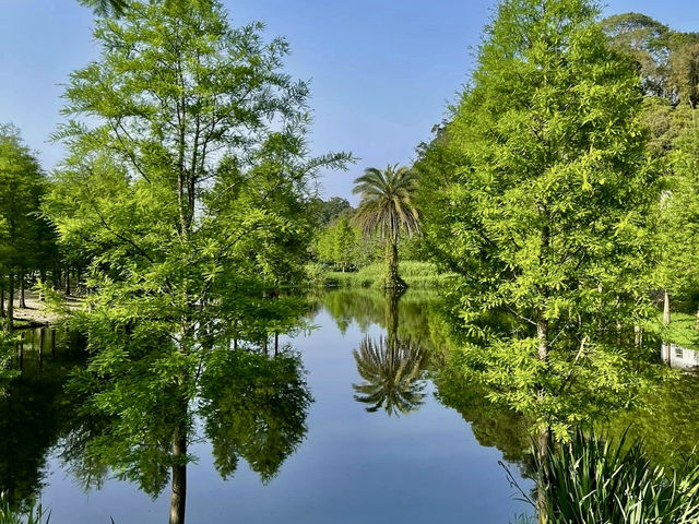 月眉人工濕地生態公園ㄧ日浪漫遊