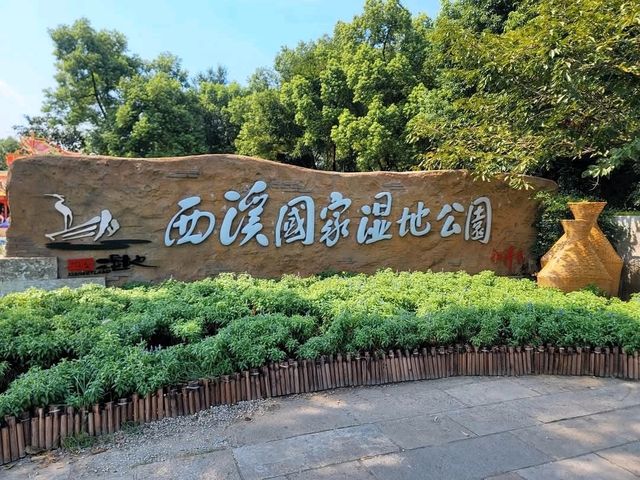 西溪濕地，搭搖櫓船體驗靜謐的濕地生態風光