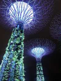 Gardens by the Bay 🌳สวนสุดอลังการในสิงคโปร์
