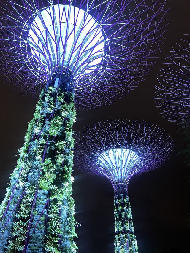 Gardens by the Bay 🌳สวนสุดอลังการในสิงคโปร์