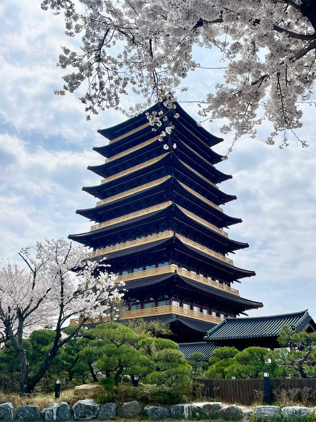 경부 봄여행 코스 공유해요 🌸🌸