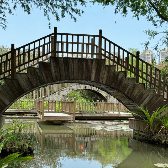 金灣濕地公園～自然的秘境