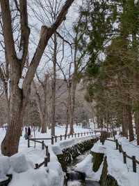 札幌春雪~圓山公園與北海道神宮