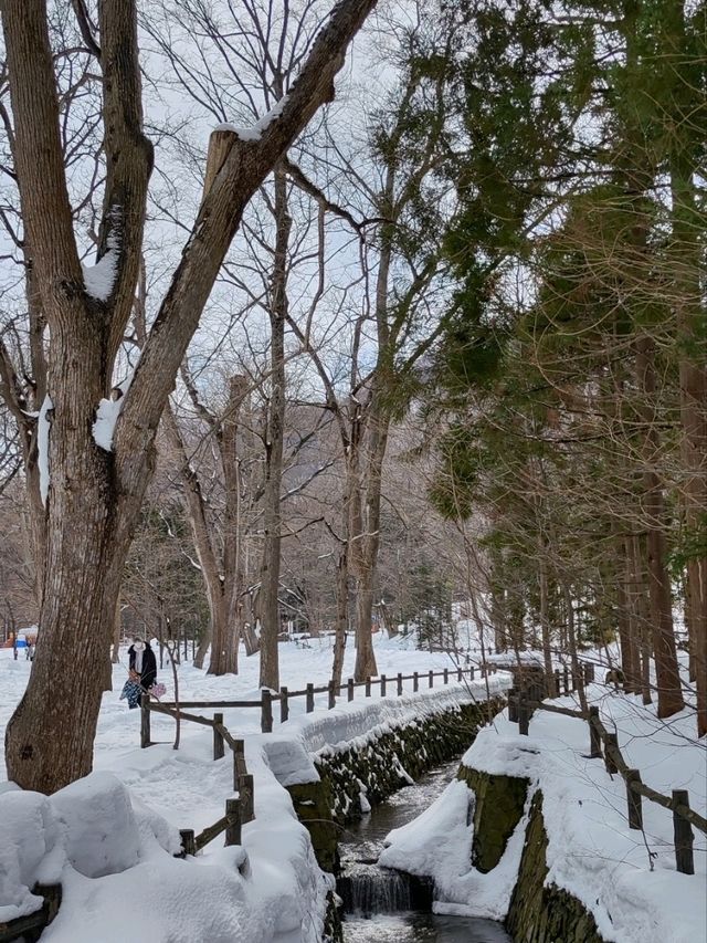 札幌春雪~圓山公園與北海道神宮