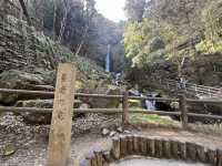 岐阜🇯🇵養老の滝