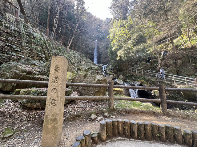 岐阜🇯🇵養老の滝