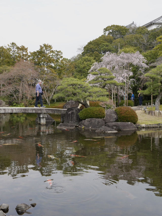 【兵庫×春旅】  