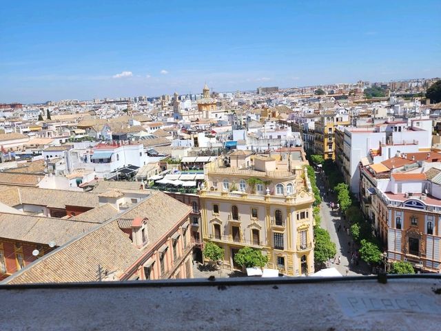 [🇪🇸セビージャ] セビージャ大聖堂のヒラルダの塔登頂体験