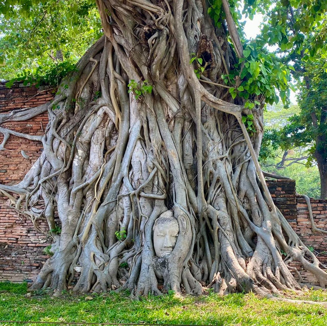 Wat Mahathat: A Sacred Historical Treasure