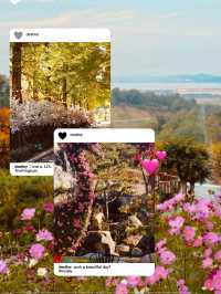 Family Fun and Spring Blooms 👨‍👩‍👧‍👦💐  