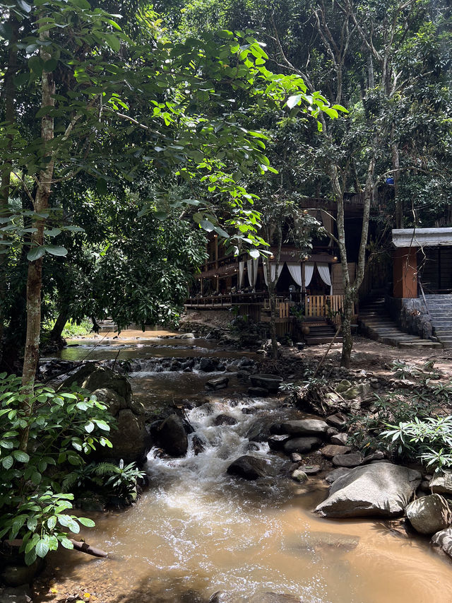 รีวิว คาเฟ่บ้านธารชีวี แม่แมะ เชียงใหม่ 🍃
