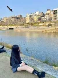 오사카현지인의 13박14일 여행