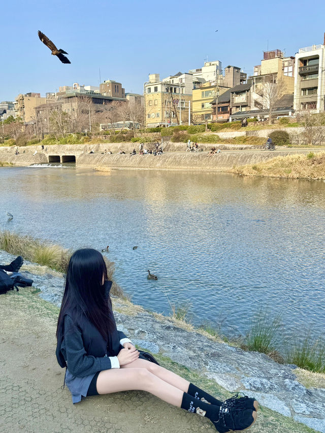 오사카현지인의 13박14일 여행