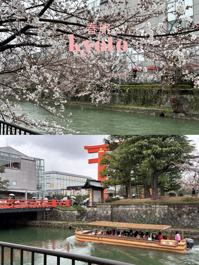 【京都×春旅】大鳥居と十石舟と桜のショットが撮れます