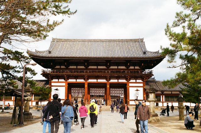 Once the Largest Wooden Structure in the World — Todaiji Temple in Nara