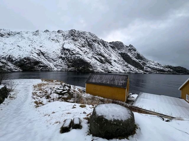 Nusfjord 走訪挪威最古老的百年漁村---努斯峽灣村