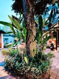 “Spring Escape to Amora Ubud Villas”