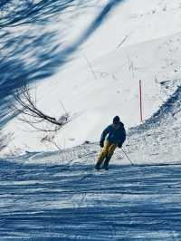 เล่นสกี ที่ Gala Yuzawa 