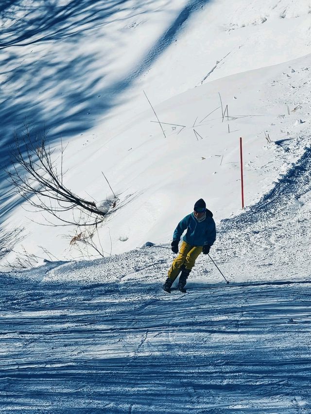 เล่นสกี ที่ Gala Yuzawa 