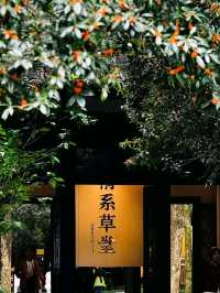 金沙 Riverside Chengdu