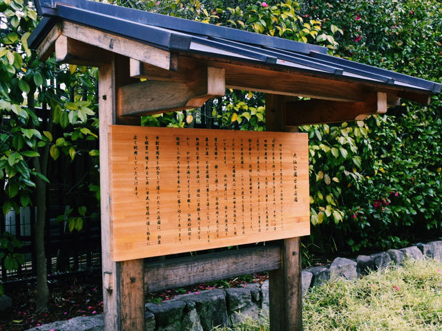 静寂と四季が彩る癒しの空間🌿⛲