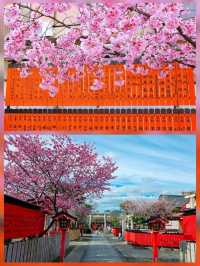 嵐山隱世賞樱秘境🌸車折神社⛩️