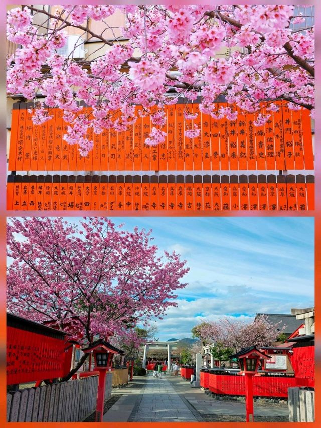 嵐山隱世賞樱秘境🌸車折神社⛩️