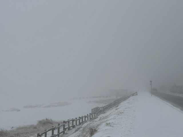 雪化粧の草千里ヶ浜で感じた幻想的な風景