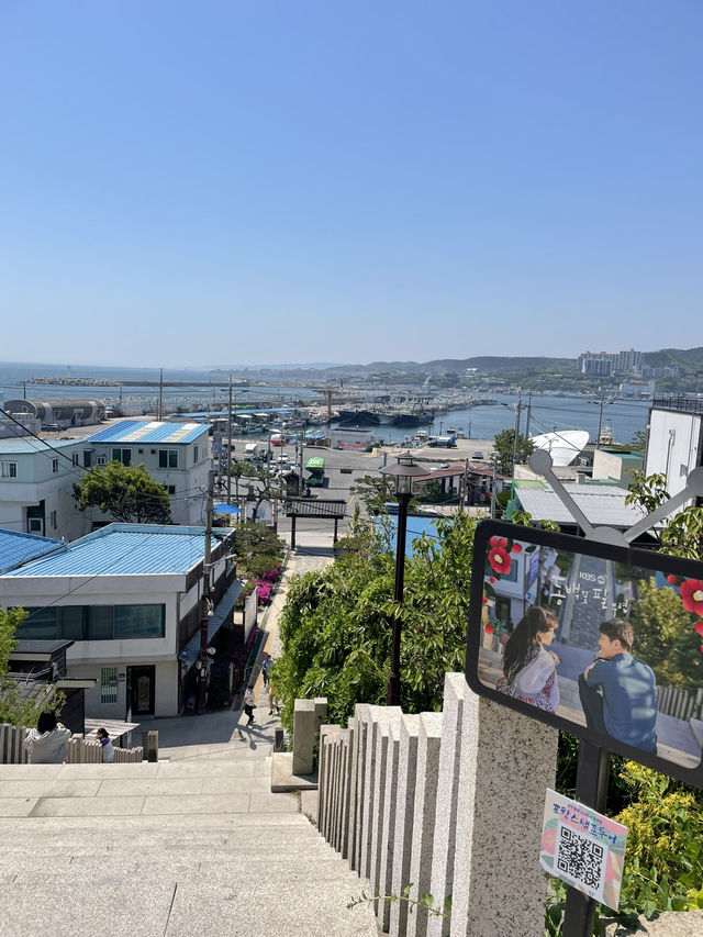 포항의 일본감성 여행지 소개 ✨
