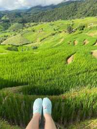 สายหมอกจางๆ ณ บ้านระเบียงนา 🌾